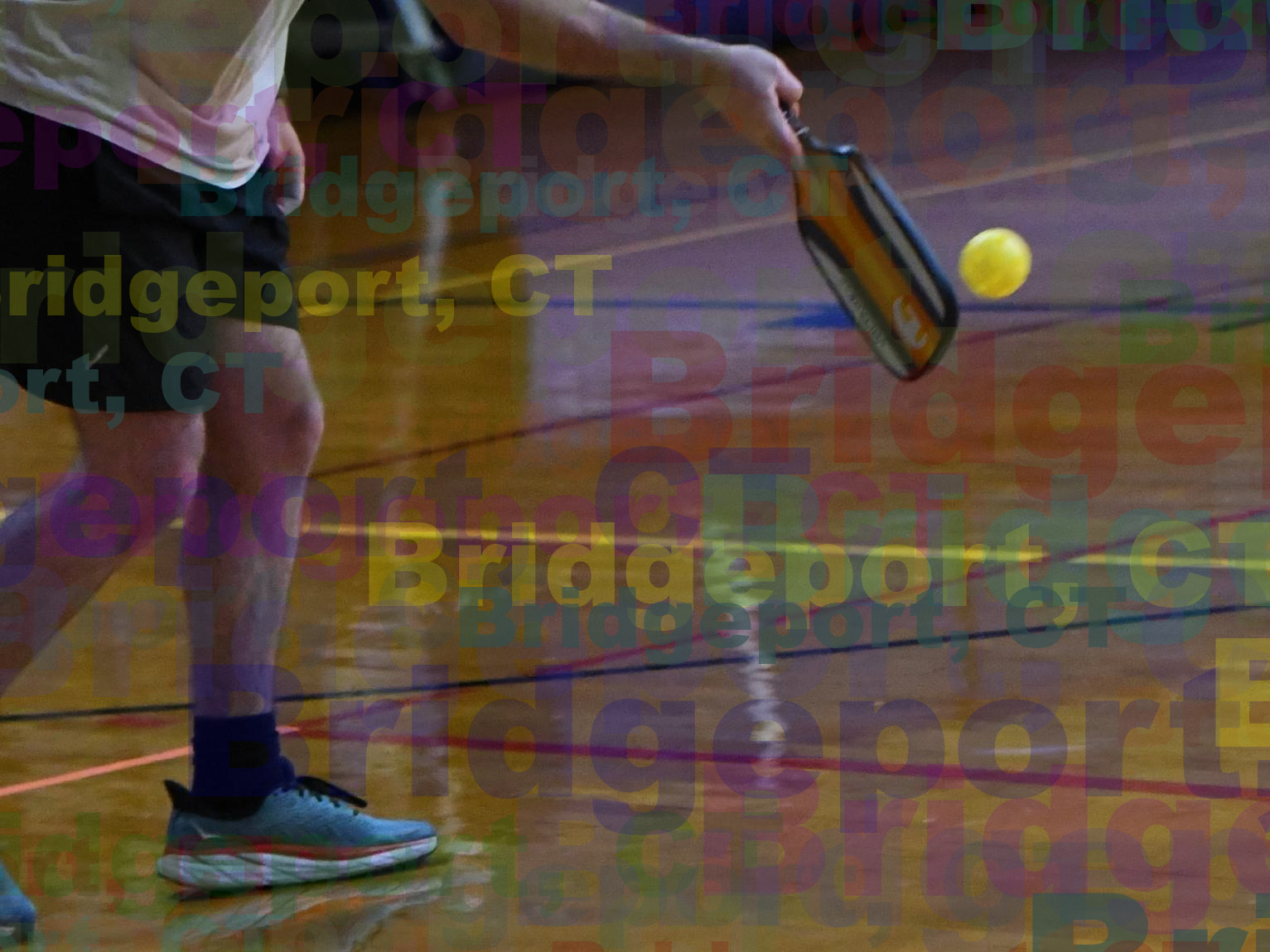 pickleballbridgeport.com logo